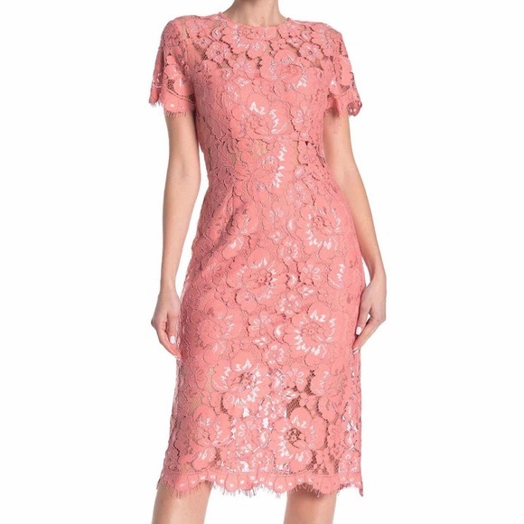 NSR Dresses & Skirts - NWT NSR Lace Pink Sheath Dress Short Sleeve